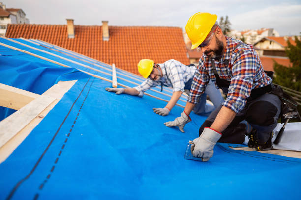 Best Storm Damage Roof Repair  in Grant, MN
